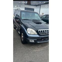 Hyundai Terracan  Дизель  Автомат 2004 рік