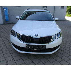 Skoda Octavia 1.9 Дизель  Автомат 2018 рік